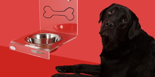 Hvordan håndterer man hundeskåle for at minimere bakterievækst?