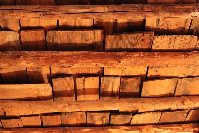 Fra sikkerhedsstandarder til vedligeholdelse: Alt du skal vide om træstiger